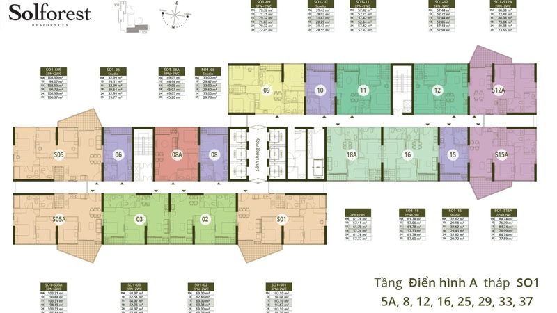Mặt bằng tầng điển hình Sol Forest